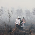 Jokowi masuk hutan yang terbakar (ANTARA)
