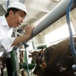 Jokowi berada di kapal ternak (IST)