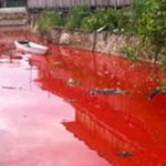 Sungai berwarah merah di Kediri (IST)