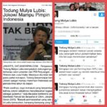 Todung Mulya Lubis (IST)
