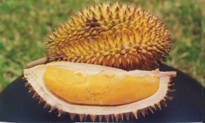 Durian Lay - reyborneo79.blogspot.com