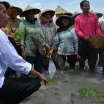 Jokowi memanfaatkan petani untuk pencitraan (IST)