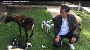 Presiden Jokowi dan kambingnya (IST)